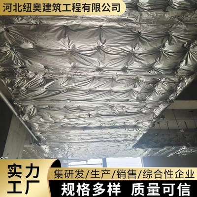 紐奧電纜經營策略與發展前景