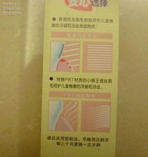 100元30件日用品，雜七雜八一堆好劃算！